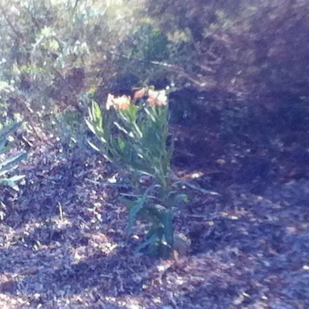 Moderne Avec Vue Sur La A - 40 M²